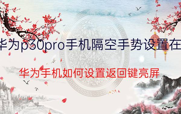 华为p30pro手机隔空手势设置在哪 华为手机如何设置返回键亮屏？